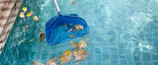 A pool net scooping leaves out of a pool.