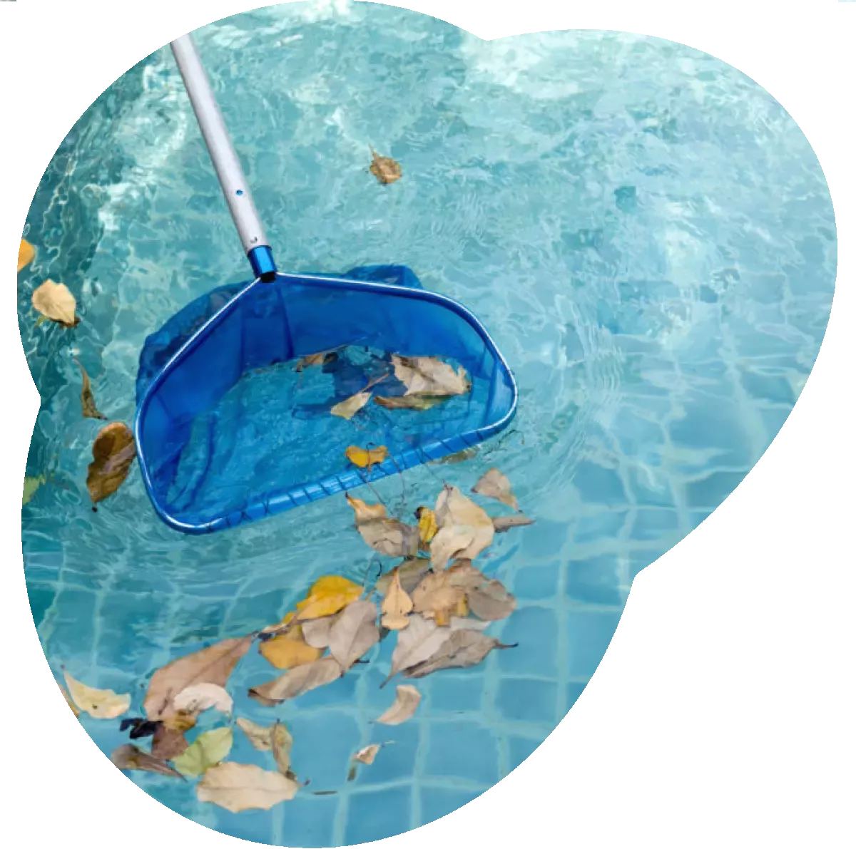 A pool net scooping leaves out of a vinyl pool.